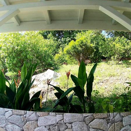Villa Cana Et Son Spa A Terre De Haut 테레-드-오트 외부 사진